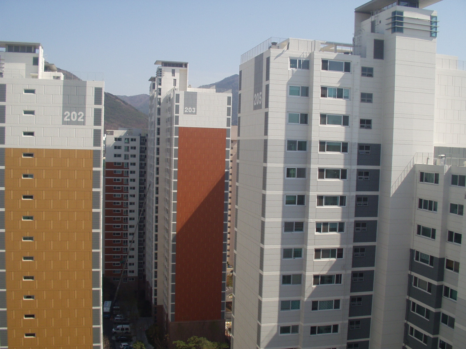 전월세 계약부터 이사까지, 놓치면 보증금 날리는 것들